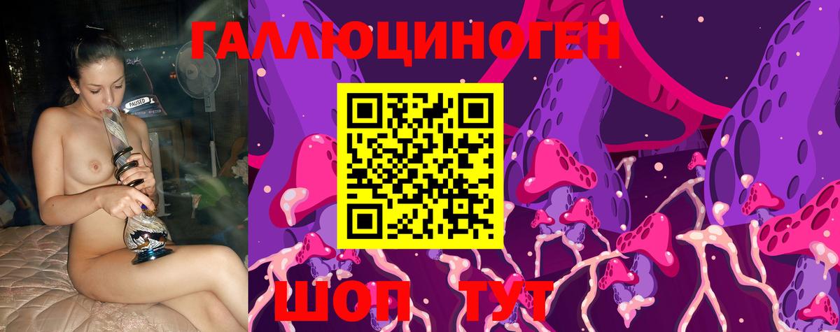 Псилоцибиновые грибы Psilocybe Тихорецк